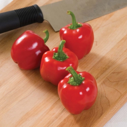 Picture of Baby Bell Cupid F1 Sweet Pepper